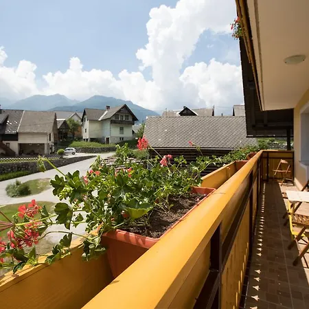 Apartmaji Matej Cvetek *