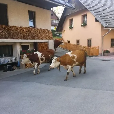 Apartmaji Matej Cvetek Lejlighed *