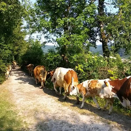 Lejlighed Apartmaji Matej Cvetek Bohinj