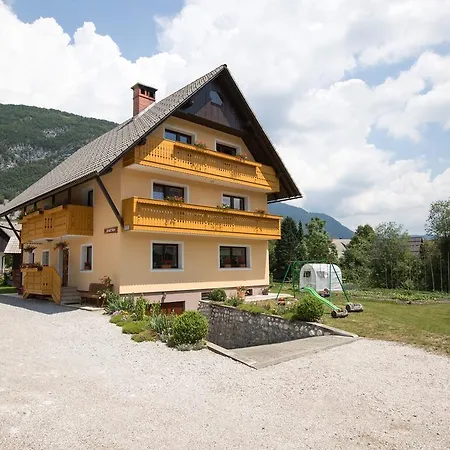 Apartmaji Matej Cvetek Lejlighed *