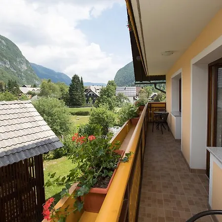 Apartmaji Matej Cvetek Apartamento