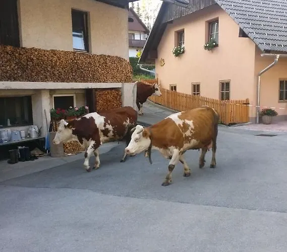 Apartmaji Matej Cvetek Apartamento *