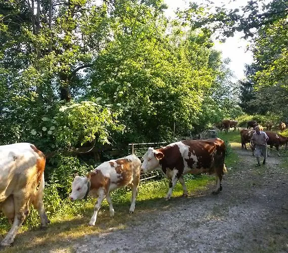 Apartmaji Matej Cvetek * Bohinj