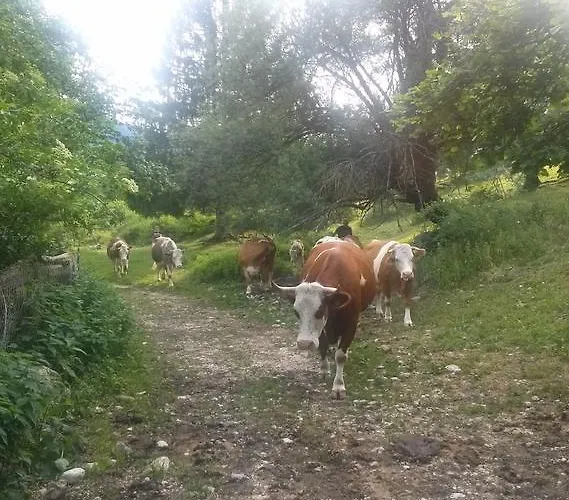 Apartamento Apartmaji Matej Cvetek